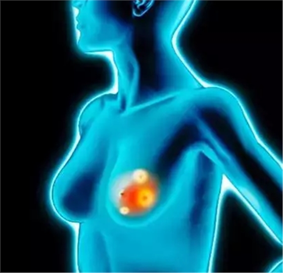 口腔預(yù)防 口腔預(yù)防