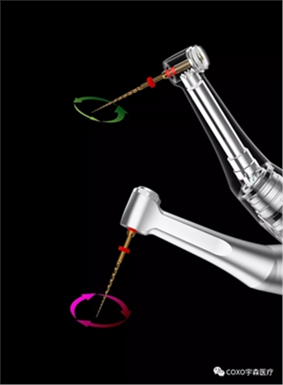 	新款經(jīng)濟(jì)普及型無線根管治療儀 	新款經(jīng)濟(jì)普及型無線根管治療儀