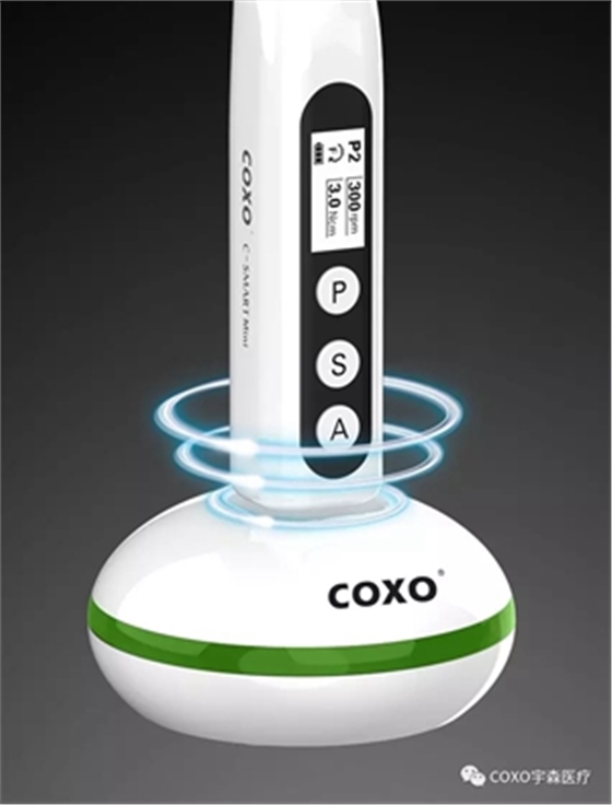 	新款經(jīng)濟(jì)普及型無線根管治療儀 	新款經(jīng)濟(jì)普及型無線根管治療儀