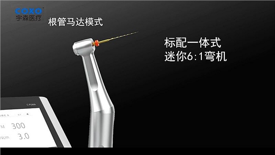 電動馬達和根管馬達二合一 電動馬達和根管馬達二合一