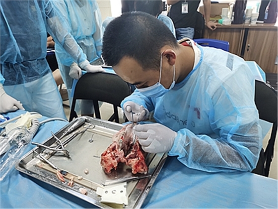 張東星老師南京微創(chuàng)拔牙教學(xué)