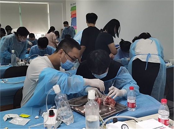 張東星老師南京微創(chuàng)拔牙教學(xué)