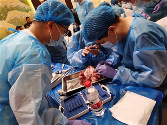 	張東星老師成都微創(chuàng)拔牙課實操現場展示