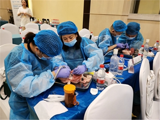 	張東星老師成都微創(chuàng)拔牙課實操現場展示