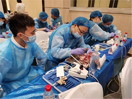 	張東星老師成都微創(chuàng)拔牙課實操現場展示