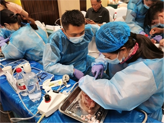 	張東星老師成都微創(chuàng)拔牙課實操現場展示