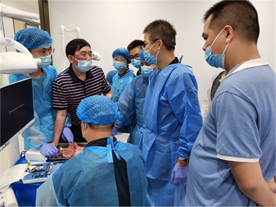 張東星老師南寧站微創(chuàng)拔牙實(shí)操課 宇森電動(dòng)馬達(dá)助力 張東星老師南寧站微創(chuàng)拔牙實(shí)操課 宇森電動(dòng)馬達(dá)助力