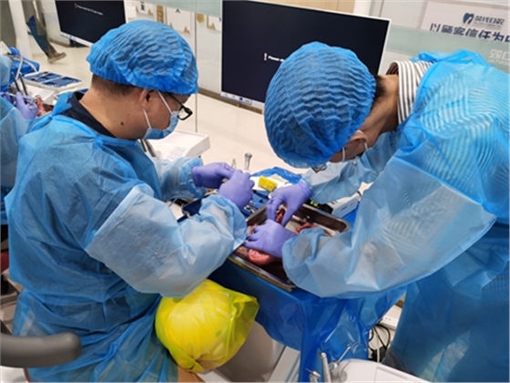 張東星老師南寧站微創(chuàng)拔牙實(shí)操課 宇森電動(dòng)馬達(dá)助力 張東星老師南寧站微創(chuàng)拔牙實(shí)操課 宇森電動(dòng)馬達(dá)助力