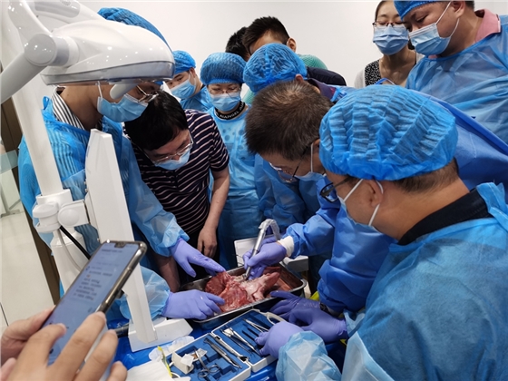 張東星老師南寧站微創(chuàng)拔牙實(shí)操課 宇森電動(dòng)馬達(dá)助力 張東星老師南寧站微創(chuàng)拔牙實(shí)操課 宇森電動(dòng)馬達(dá)助力