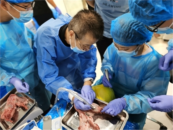 張東星老師南寧站微創(chuàng)拔牙實(shí)操課 宇森電動(dòng)馬達(dá)助力 張東星老師南寧站微創(chuàng)拔牙實(shí)操課 宇森電動(dòng)馬達(dá)助力