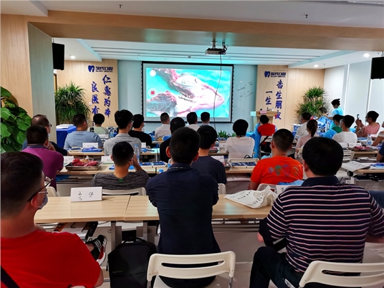 張東星老師南寧站微創(chuàng)拔牙實(shí)操課——宇森電動(dòng)馬達(dá)助力 張東星老師南寧站微創(chuàng)拔牙實(shí)操課——宇森電動(dòng)馬達(dá)助力