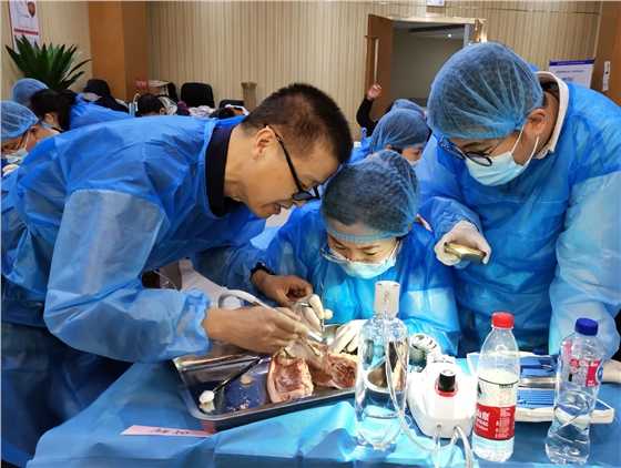 張東星老師北京微創(chuàng)拔牙課實操展示