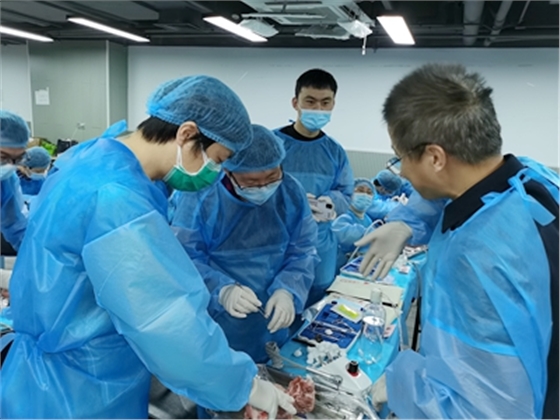 張東星老師上海微創(chuàng)拔牙實(shí)操風(fēng)采 張東星老師上海微創(chuàng)拔牙實(shí)操風(fēng)采