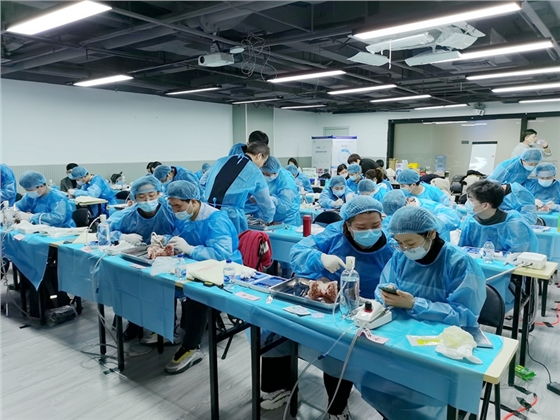 張東星老師上海微創(chuàng)拔牙實(shí)操風(fēng)采 張東星老師上海微創(chuàng)拔牙實(shí)操風(fēng)采