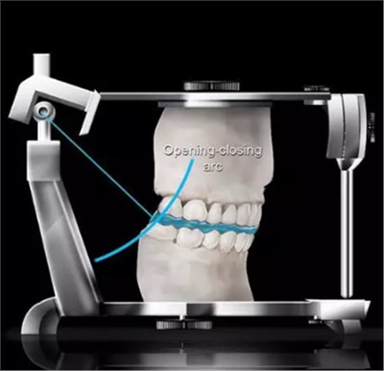 如何利用垂直距離解決好臨床問(wèn)題 如何利用垂直距離解決好臨床問(wèn)題