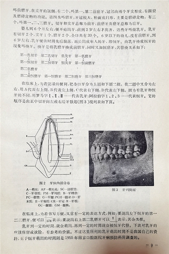 18891175663b8a17a44306198fa4247.jpg 18891175663b8a17a44306198fa4247.jpg