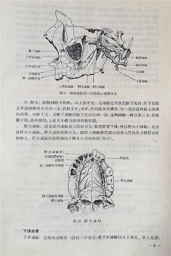 《實(shí)用拔牙學(xué)》一級(jí)教授陳華主編