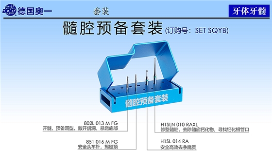 德國奧一髓腔預(yù)備套裝