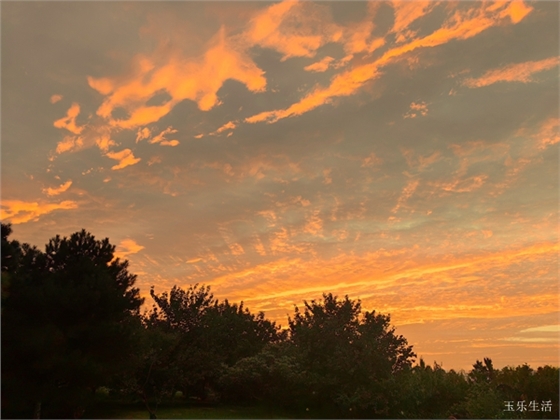 西安大明宮遺址公園