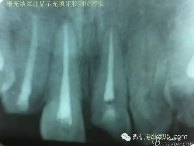 QQ圖片20150711104857.png QQ圖片20150711104857.png