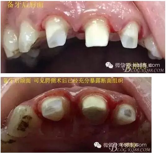 QQ圖片20150711105132.jpg QQ圖片20150711105132.jpg