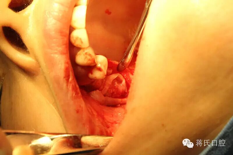 QQ圖片20150711174327.jpg QQ圖片20150711174327.jpg