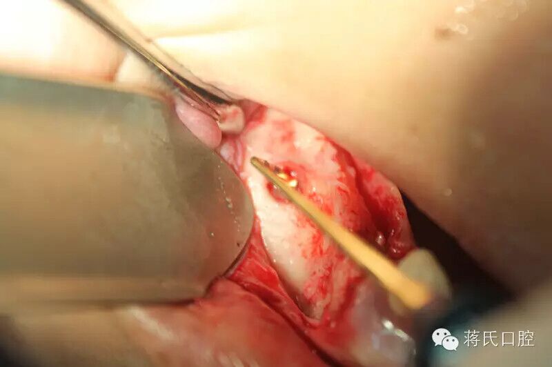 QQ圖片20150711174633.jpg QQ圖片20150711174633.jpg