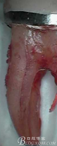 QQ圖片20150712103705.png QQ圖片20150712103705.png