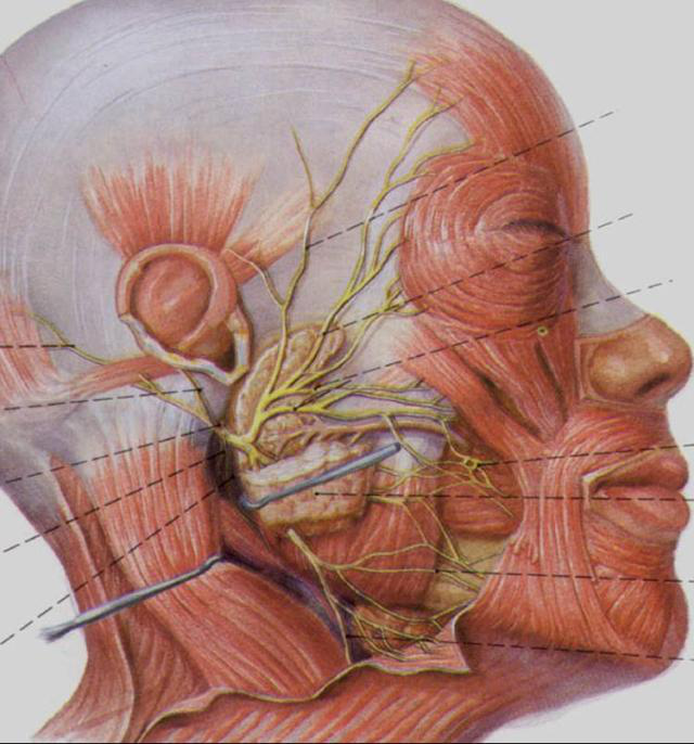 QQ圖片20150712112511.png QQ圖片20150712112511.png