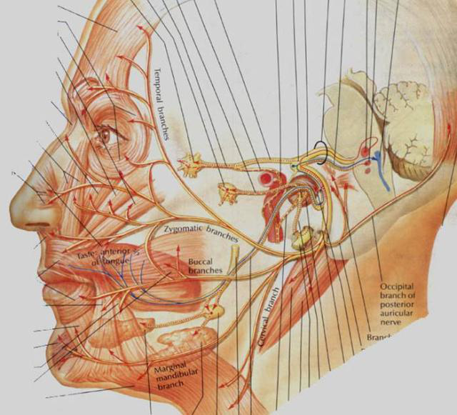 QQ圖片20150712112529.png QQ圖片20150712112529.png