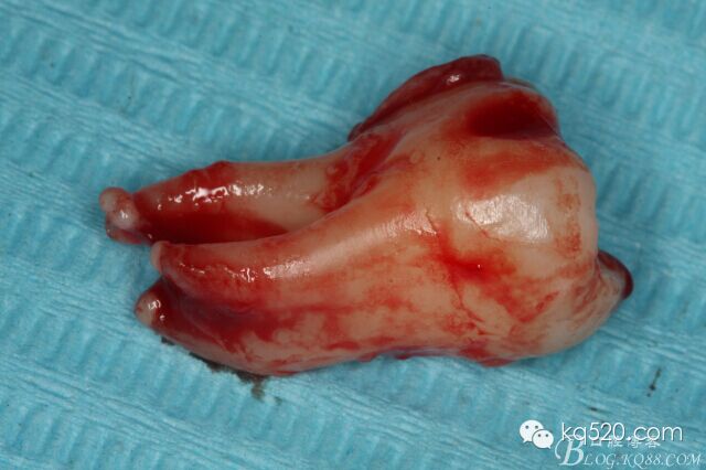 QQ圖片20150712143704.jpg QQ圖片20150712143704.jpg