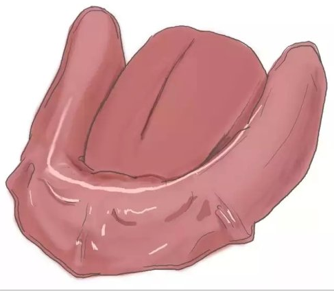 種植【最全的種植牙介紹】 種植【最全的種植牙介紹】