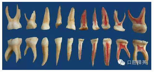 QQ圖片20150716170016.png QQ圖片20150716170016.png