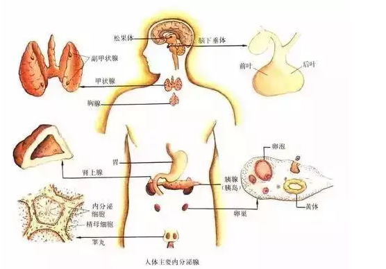 QQ圖片20150716173959.png QQ圖片20150716173959.png