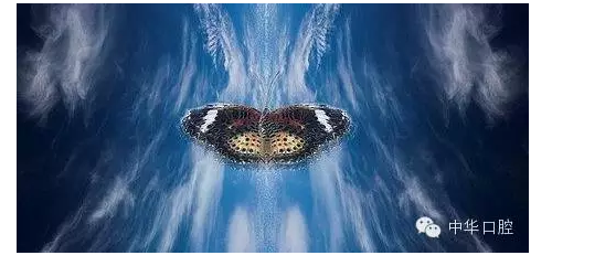 &ldquo;蝴蝶效應(yīng)&rdquo;：牙齒不齊引起的連鎖反應(yīng)