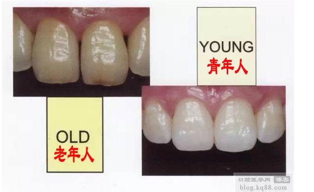 QQ圖片20150717111805.png QQ圖片20150717111805.png