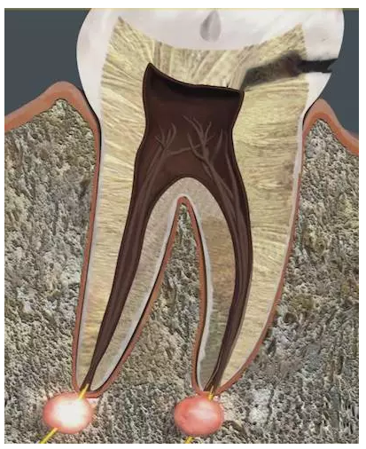 QQ圖片20150718100537.png QQ圖片20150718100537.png