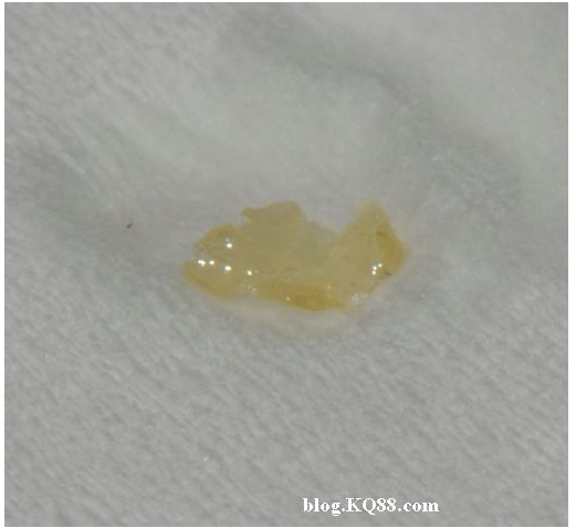 QQ圖片20150720133801.png QQ圖片20150720133801.png