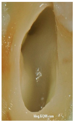 QQ圖片20150720140522.png QQ圖片20150720140522.png