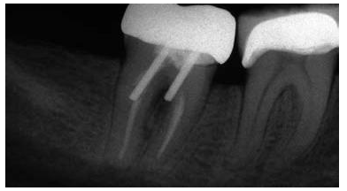 QQ圖片20150721093543.png QQ圖片20150721093543.png