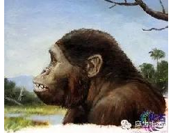 走進(jìn)牙齒的故事，訴說千年的演變