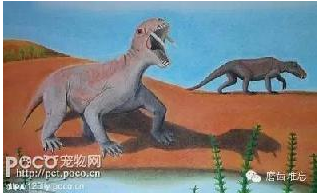 走進(jìn)牙齒的故事，訴說千年的演變