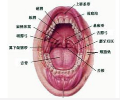 QQ圖片20150721114651.png QQ圖片20150721114651.png