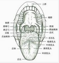 QQ圖片20150721114718.png QQ圖片20150721114718.png