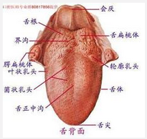 QQ圖片20150721114810.png QQ圖片20150721114810.png