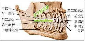 QQ圖片20150721115029.png QQ圖片20150721115029.png