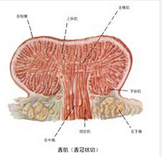 QQ圖片20150721115541.png QQ圖片20150721115541.png