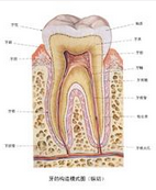 QQ圖片20150721115612.png QQ圖片20150721115612.png