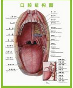 QQ圖片20150721132805.png QQ圖片20150721132805.png