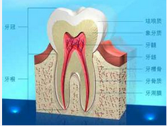 QQ圖片20150721132851.png QQ圖片20150721132851.png